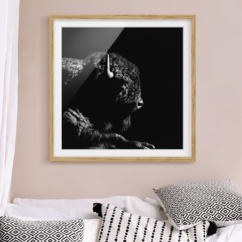 

Póster enmarcado - Bison In The Dark Dimensión LxA: 70cm x 70cm, Marco: Roble