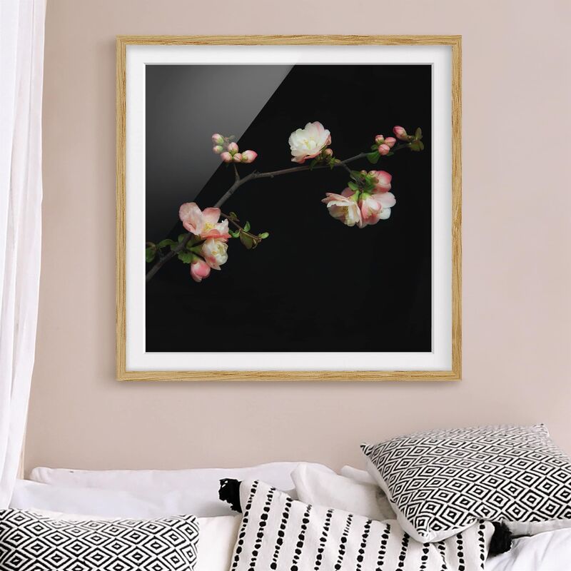 

Póster enmarcado - Blossom Boughs Apple Tree Dimensión LxA: 70cm x 70cm, Marco: Roble