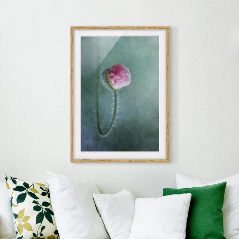 

Póster enmarcado - Blossom In Pink Dimensión LxA: 70cm x 50cm, Marco: Roble