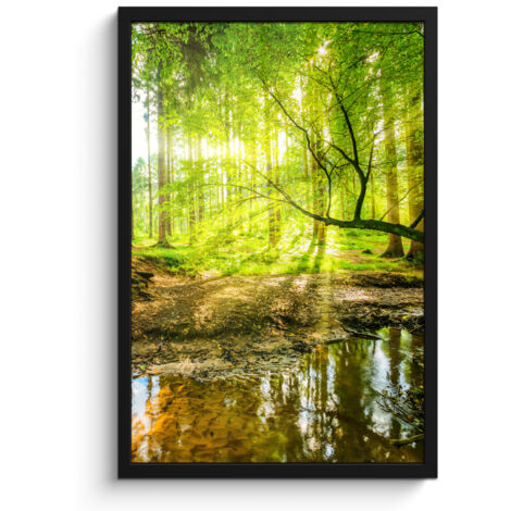 PÓSTER ENMARCADO Bosque - Paisaje - Agua - Árboles - Sol - Verde - Naturaleza Decoracion Pared Salon 40x60