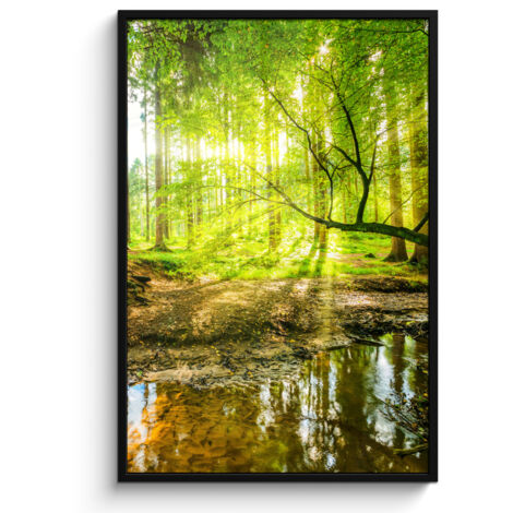 PÓSTER ENMARCADO Bosque - Paisaje - Agua - Árboles - Sol - Verde - Naturaleza Pared Decoracion Grande 80x120