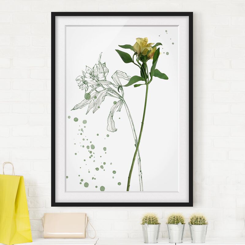 

Póster enmarcado - Acquerello Botanico - Lily Dimensión LxA: 70cm x 50cm, Marco: Negro