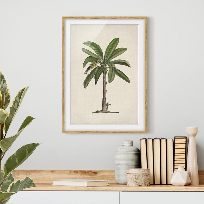 

Póster enmarcado - Britannico Palms Ii Dimensión LxA: 55cm x 40cm, Marco: Roble
