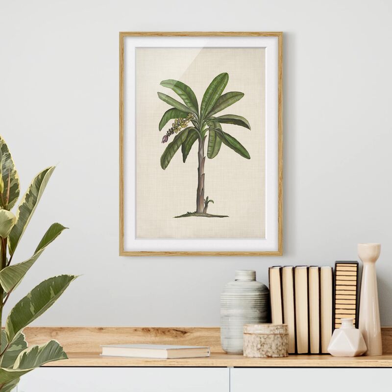 

Póster enmarcado - Britannico Palms Ii Dimensión LxA: 100cm x 70cm, Marco: Roble