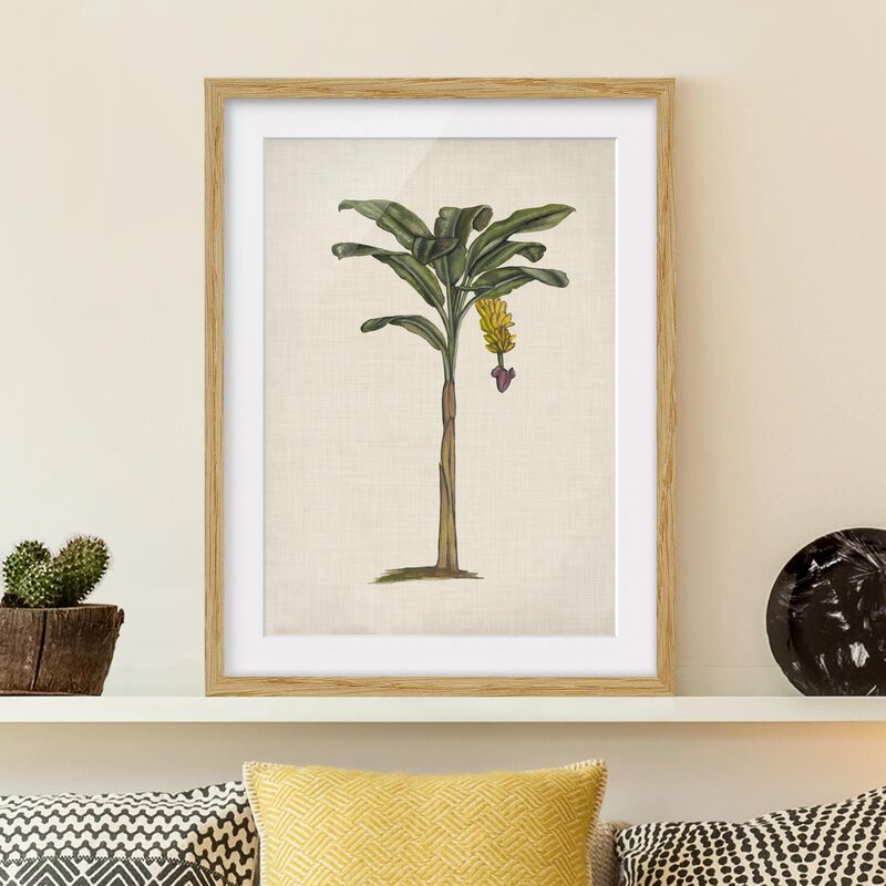 

Póster enmarcado - Palme Britannici Iii Dimensión LxA: 55cm x 40cm, Marco: Roble