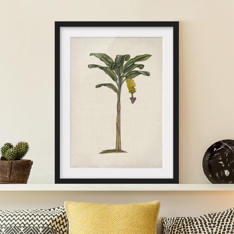 

Póster enmarcado - Palme Britannici Iii Dimensión LxA: 70cm x 50cm, Marco: Negro