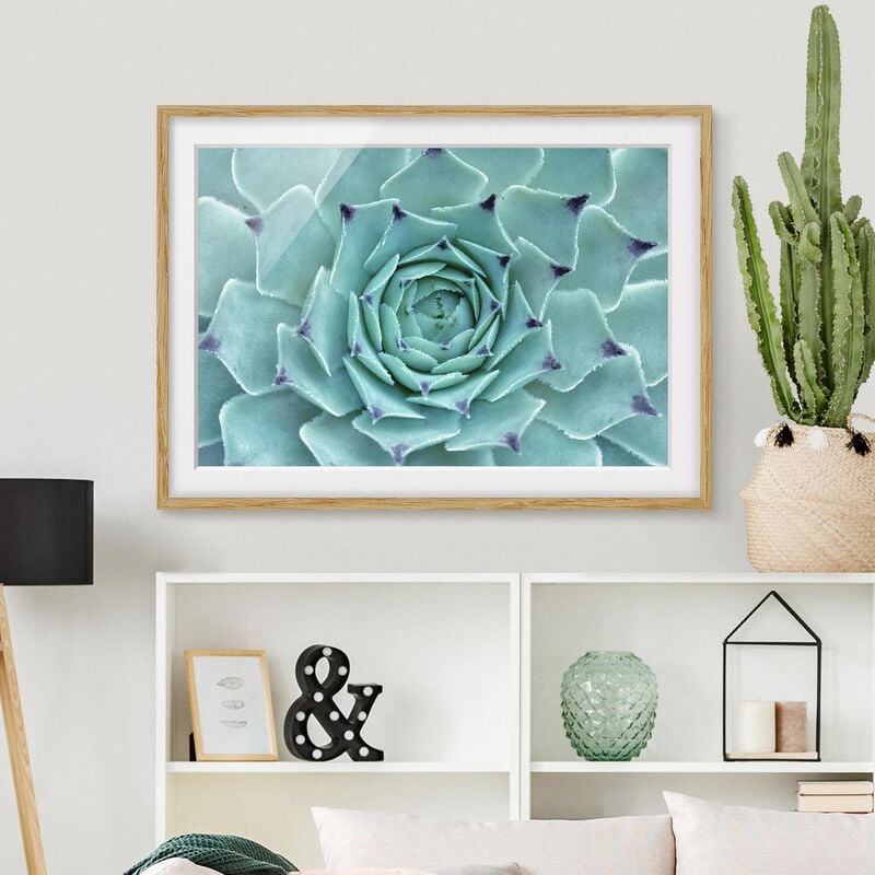 

Póster enmarcado - Cactus Agave Dimensión LxA: 18cm x 24cm, Marco: Roble