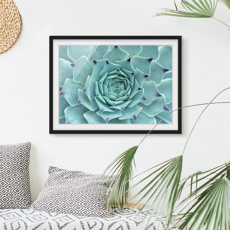

Póster enmarcado - Cactus Agave Dimensión LxA: 30cm x 40cm, Marco: Negro