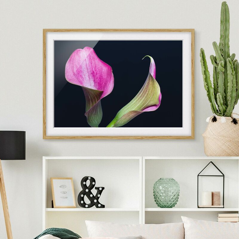 

Póster enmarcado - Calla Close-up Nero Dimensión LxA: 40cm x 55cm, Marco: Roble
