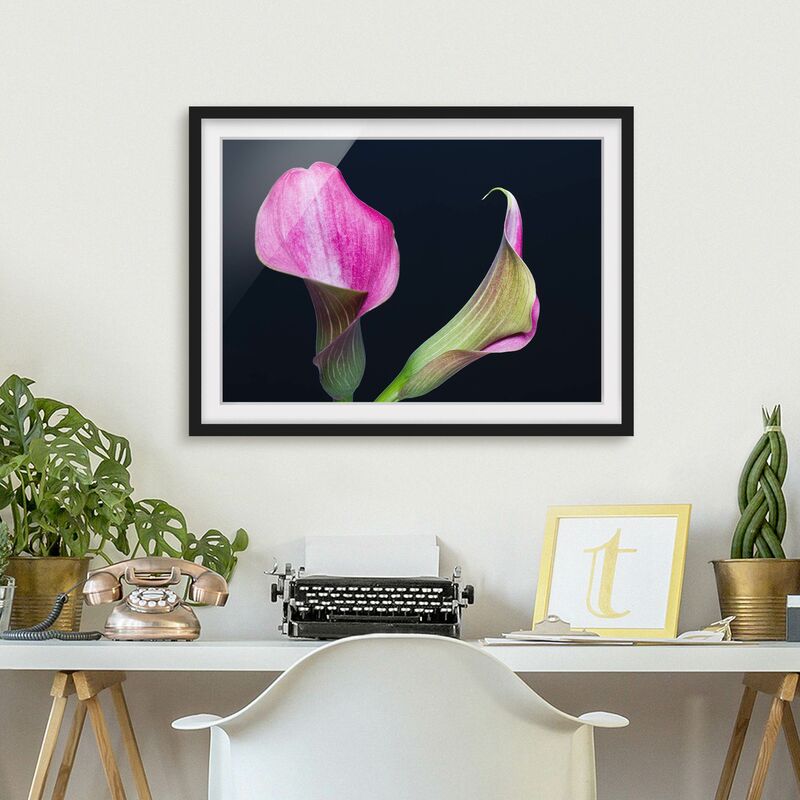 

Póster enmarcado - Calla Close-up Nero Dimensión LxA: 18cm x 24cm, Marco: Negro