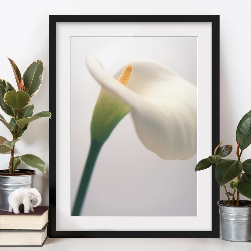 

Póster enmarcado - Calla Trio Part 1 Dimensión LxA: 70cm x 50cm, Marco: Negro