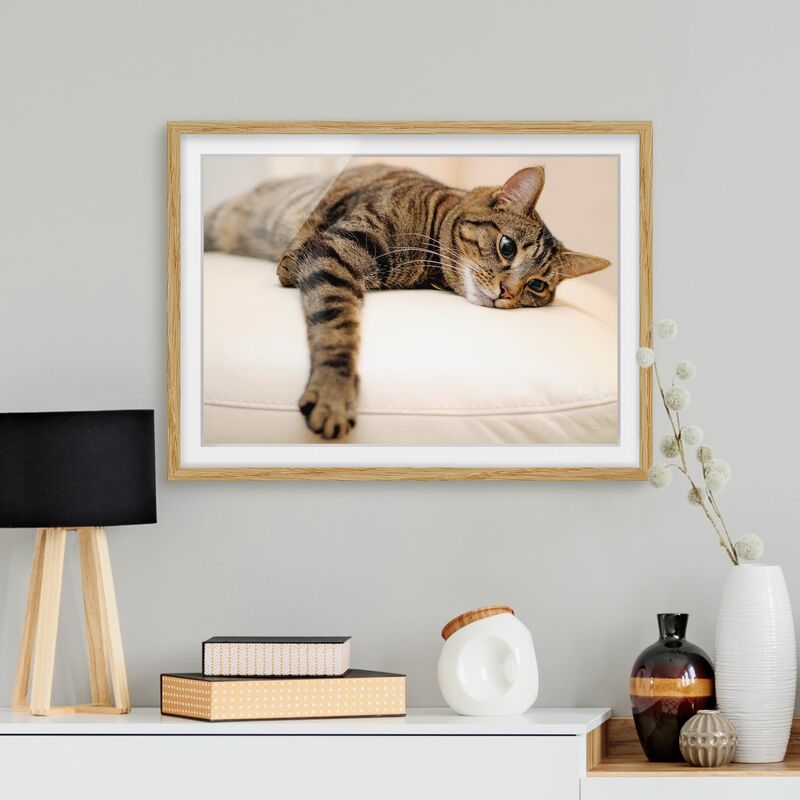 

Póster enmarcado - Cat Chill Out Dimensión LxA: 30cm x 40cm, Marco: Roble