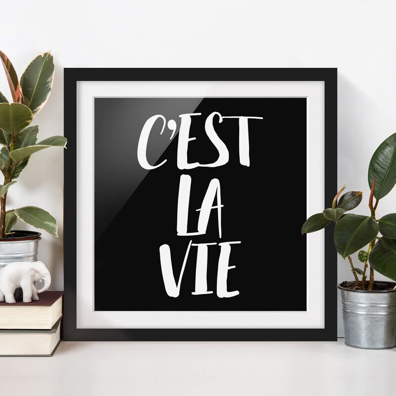 

Póster enmarcado - C'EST LA VIE Dimensión LxA: 50cm x 50cm, Marco: Negro