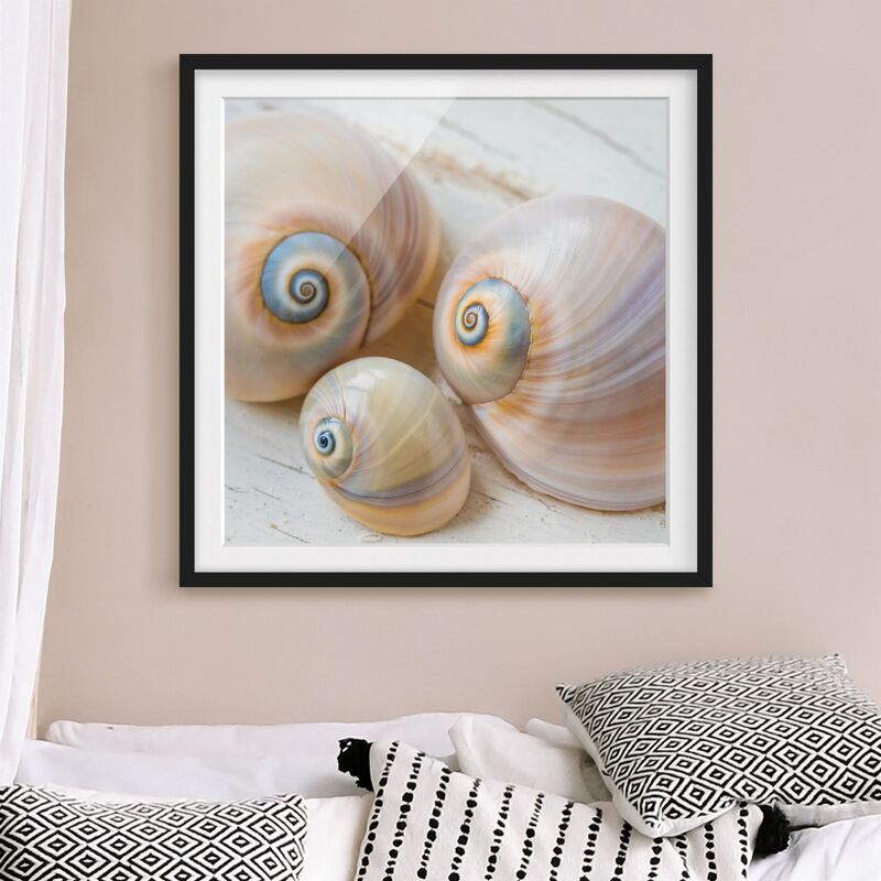 

Póster enmarcado - Clam Trio su legno Dimensión LxA: 70cm x 70cm, Marco: Negro