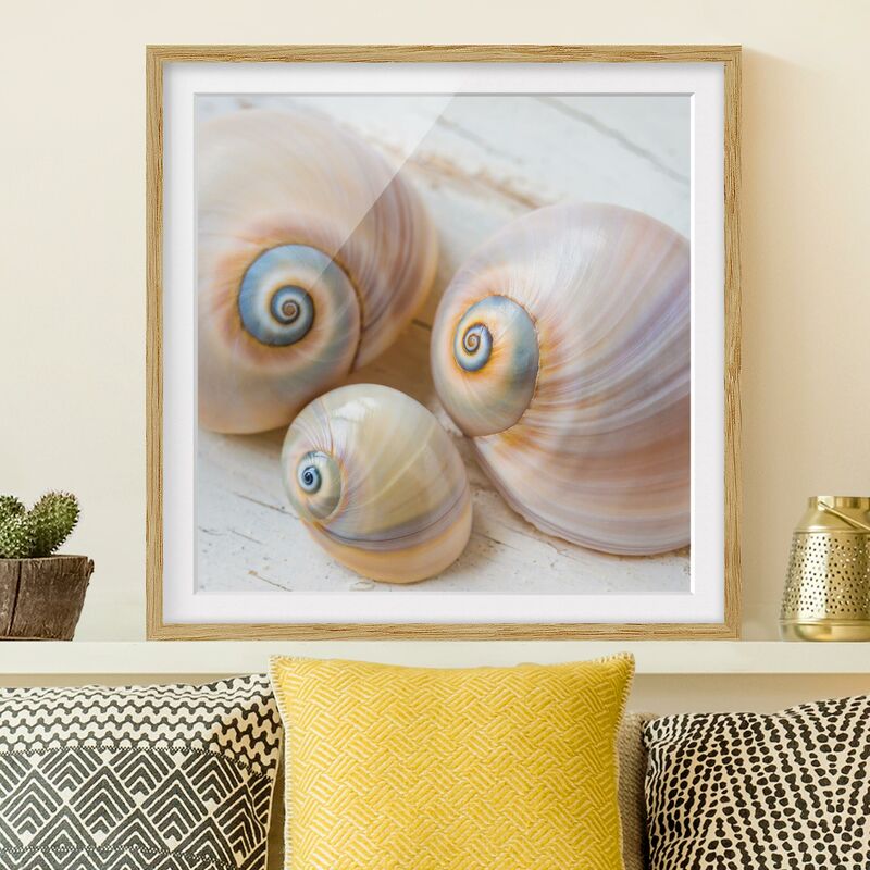 

Póster enmarcado - Clam Trio su legno Dimensión LxA: 20cm x 20cm, Marco: Roble