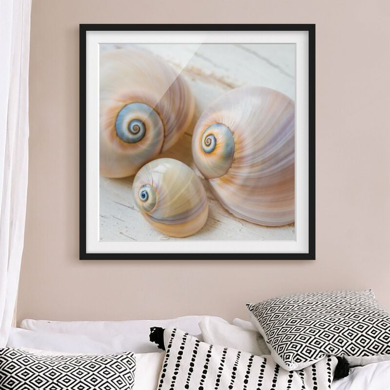 

Póster enmarcado - Clam Trio su legno Dimensión LxA: 20cm x 20cm, Marco: Negro