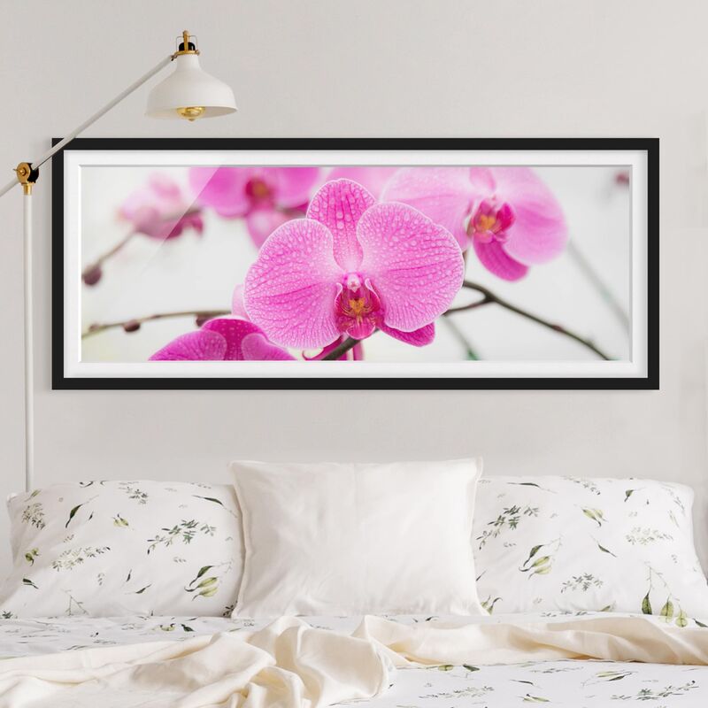 

Póster enmarcado - Chiudi Orchidea Dimensión LxA: 40cm x 100cm, Marco: Negro