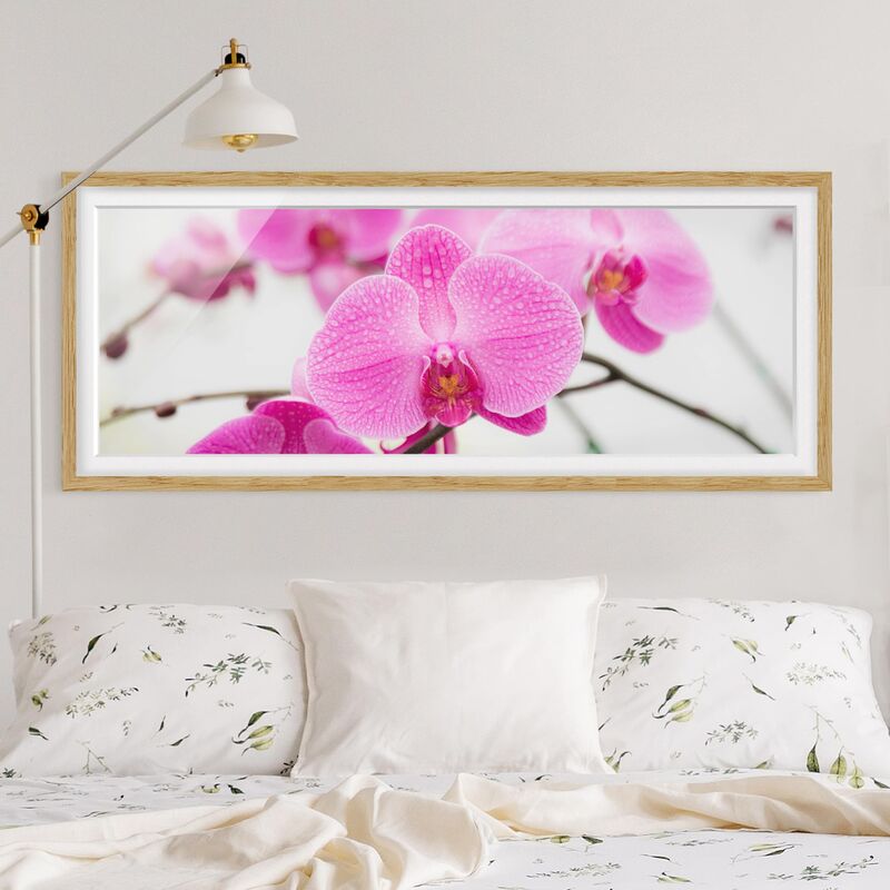 

Póster enmarcado - Chiudi Orchidea Dimensión LxA: 40cm x 100cm, Marco: Roble