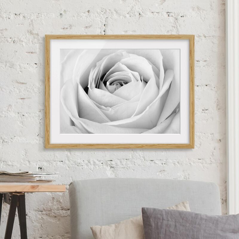 

Póster enmarcado - Close Up Rose Dimensión LxA: 70cm x 100cm, Marco: Roble