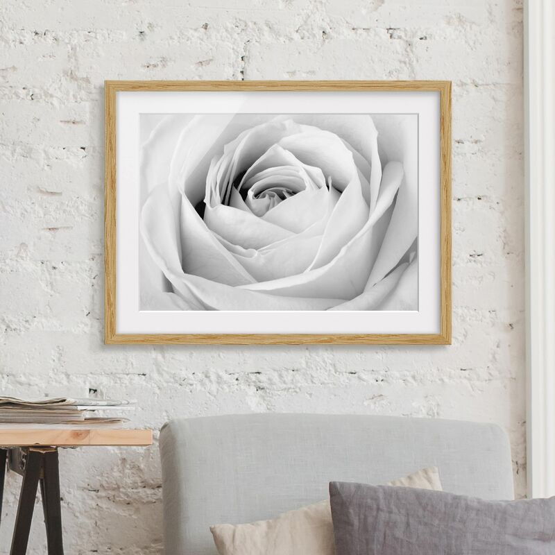 

Póster enmarcado - Close Up Rose Dimensión LxA: 30cm x 40cm, Marco: Roble