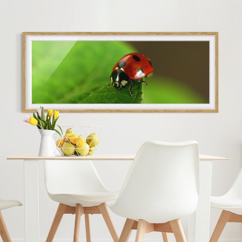 

Póster enmarcado - Coccinella Dimensión LxA: 50cm x 130cm, Marco: Roble