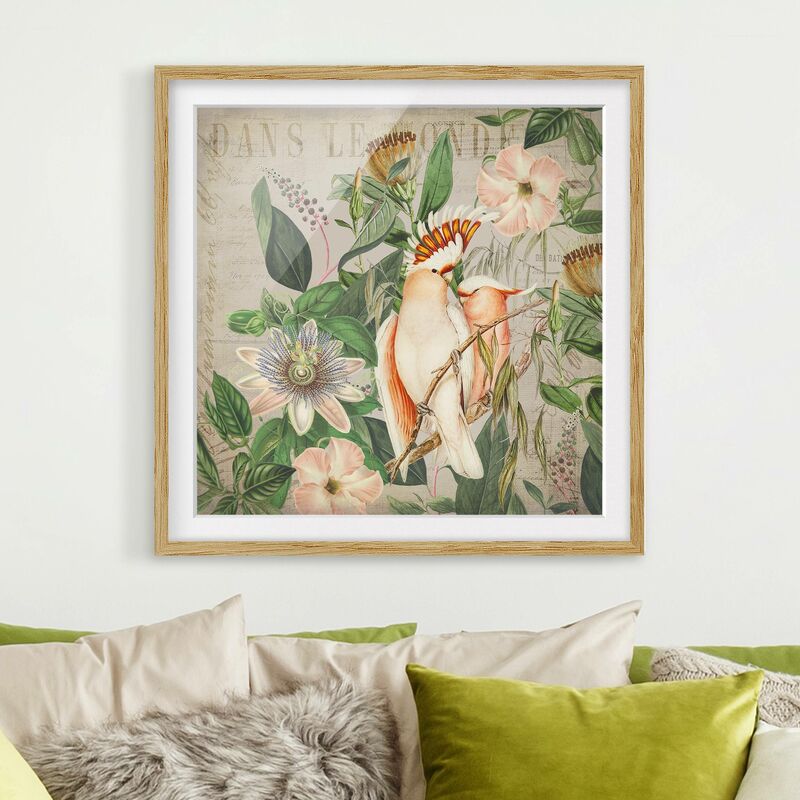 

Póster enmarcado - Coloniale Collage - Galah Dimensión LxA: 70cm x 70cm, Marco: Roble
