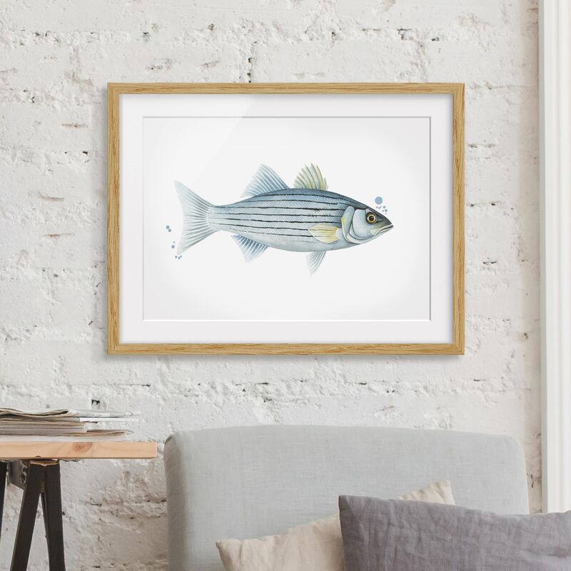 

Póster enmarcado - Color Catch - White Perch Dimensión LxA: 40cm x 55cm, Marco: Roble