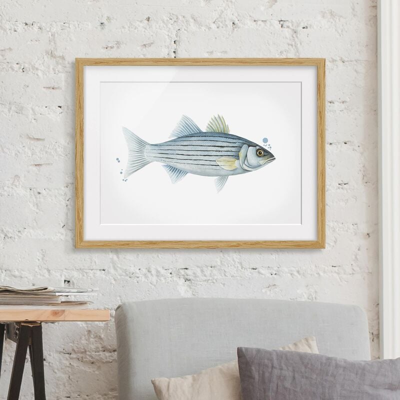 

Póster enmarcado - Color Catch - White Perch Dimensión LxA: 18cm x 24cm, Marco: Roble