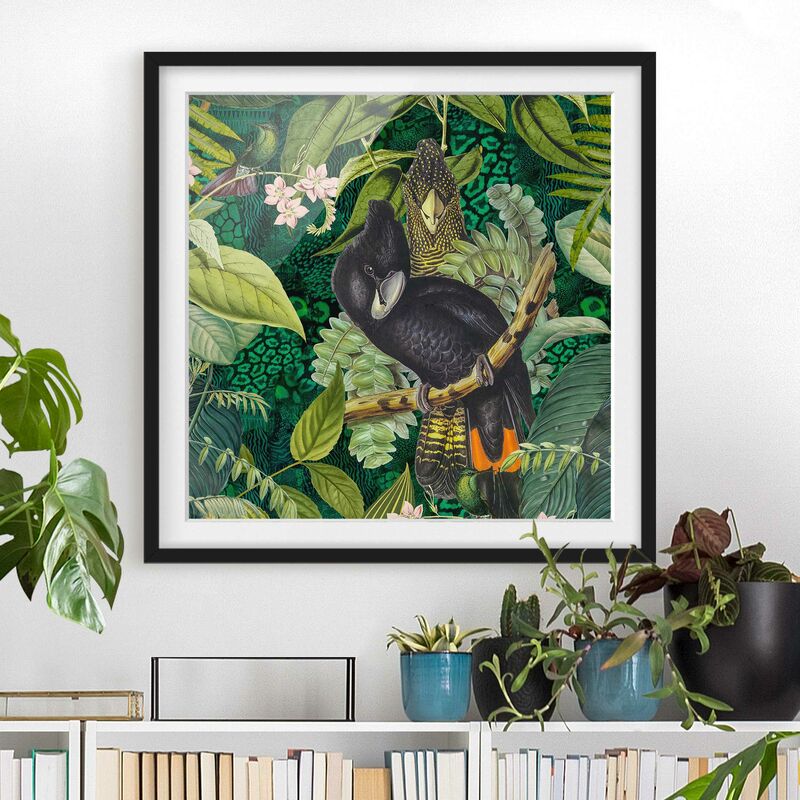 

Póster enmarcado - Colorato collage - Cacatua In The Jungle Dimensión LxA: 50cm x 50cm, Marco: Negro