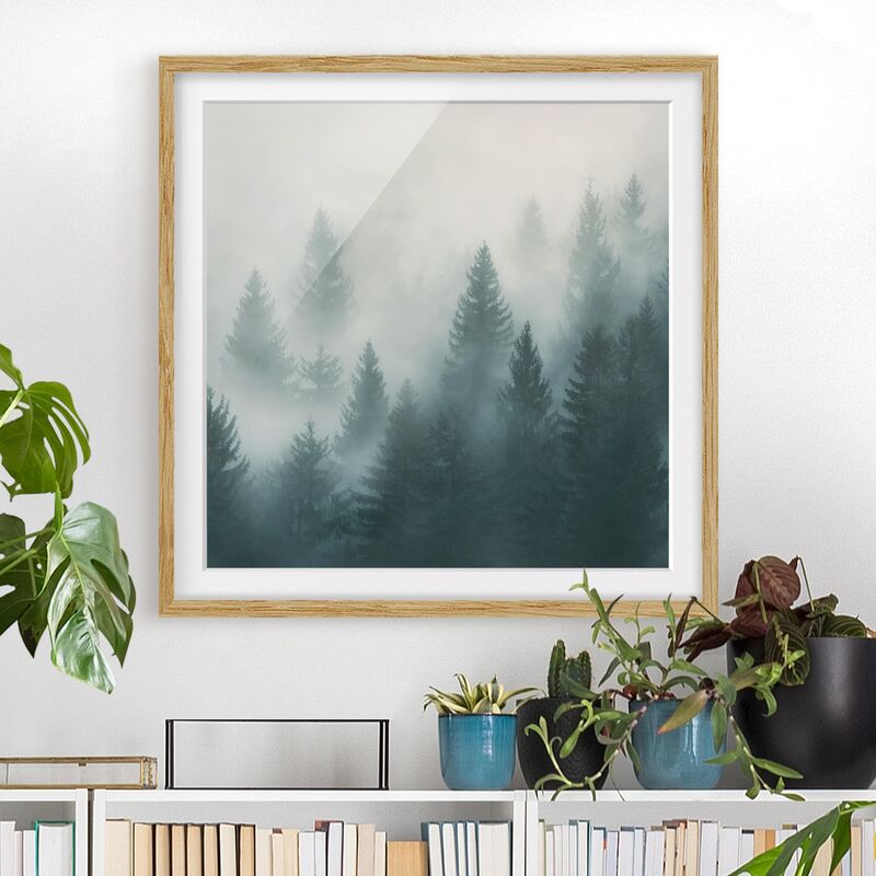 

Póster enmarcado - Coniferous Forest In Fog Dimensión LxA: 20cm x 20cm, Marco: Roble