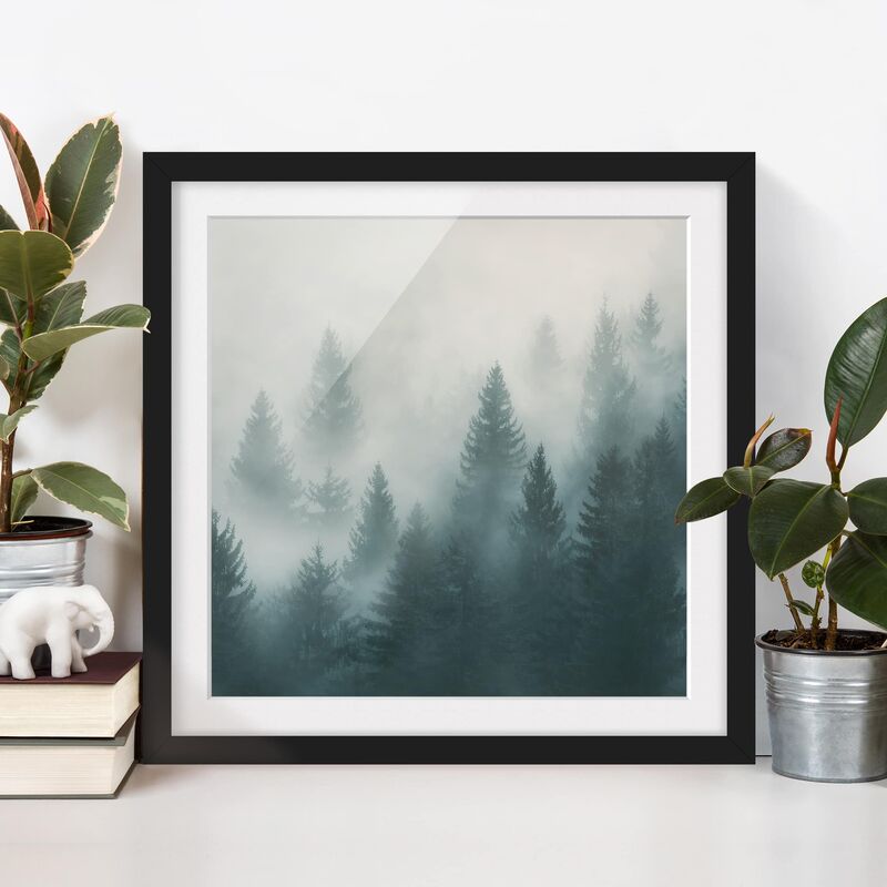 

Póster enmarcado - Coniferous Forest In Fog Dimensión LxA: 70cm x 70cm, Marco: Negro