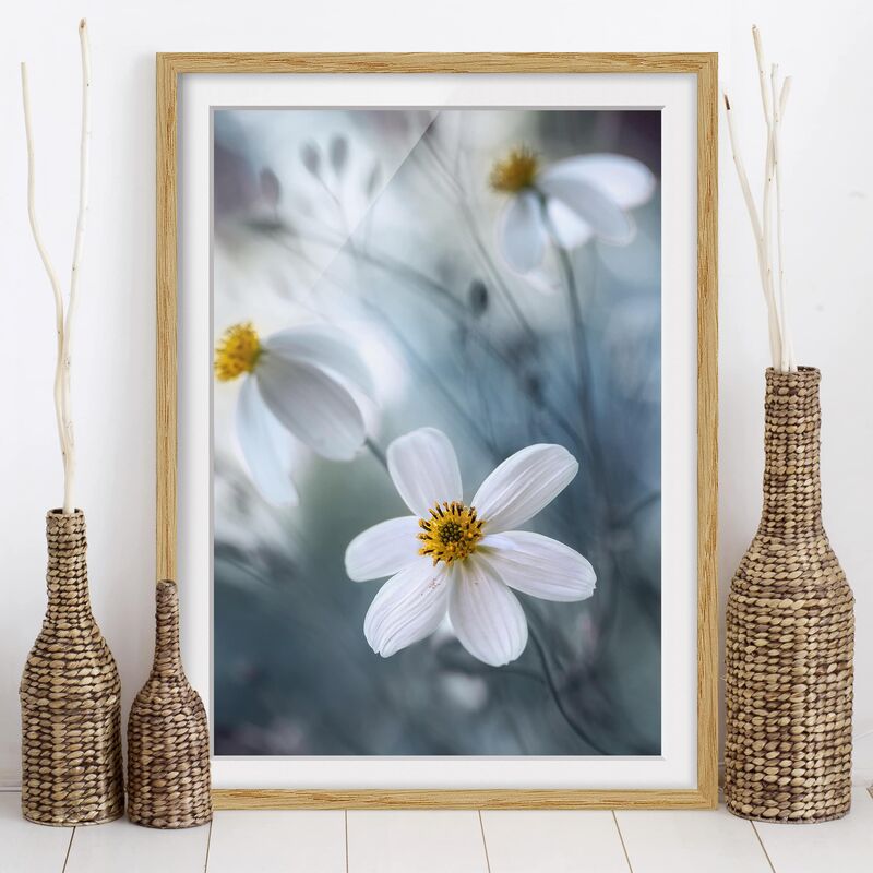 

Póster enmarcado - Cosmos In Pastel Dimensión LxA: 40cm x 30cm, Marco: Roble