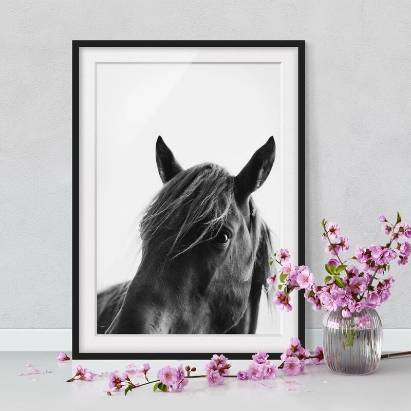

Póster enmarcado - Cavallo curioso Dimensión LxA: 24cm x 18cm, Marco: Negro