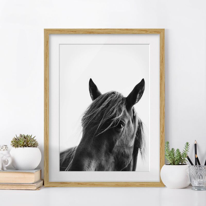 

Póster enmarcado - Cavallo curioso Dimensión LxA: 40cm x 30cm, Marco: Roble