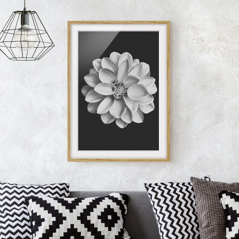 

Póster enmarcado - Dalia in bianco e nero Dimensión LxA: 100cm x 70cm, Marco: Roble