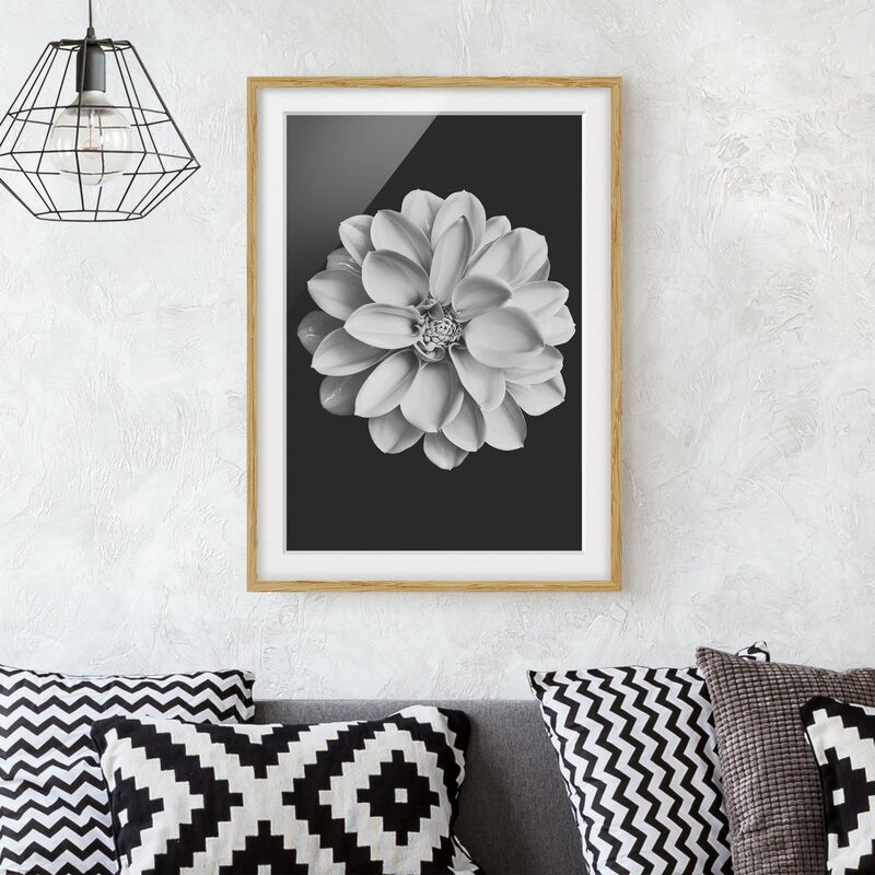 

Póster enmarcado - Dalia in bianco e nero Dimensión LxA: 70cm x 50cm, Marco: Roble