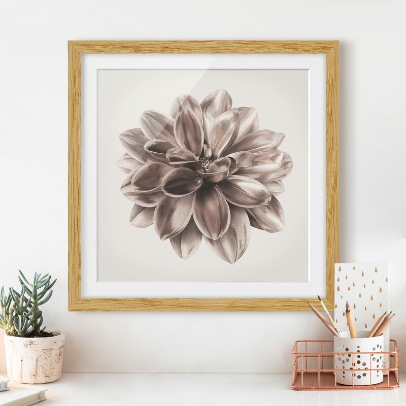 

Póster enmarcado - Dalia in bronzo metallico centrato in beige Dimensión LxA: 70cm x 70cm, Marco: Roble