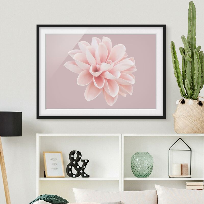 

Póster enmarcado - Dalia in lavanda rosa e bianca Dimensión LxA: 18cm x 24cm, Marco: Negro