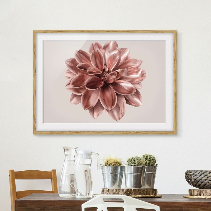 

Póster enmarcado - Fiore dalia in oro rosa metallico Dimensión LxA: 50cm x 70cm, Marco: Roble