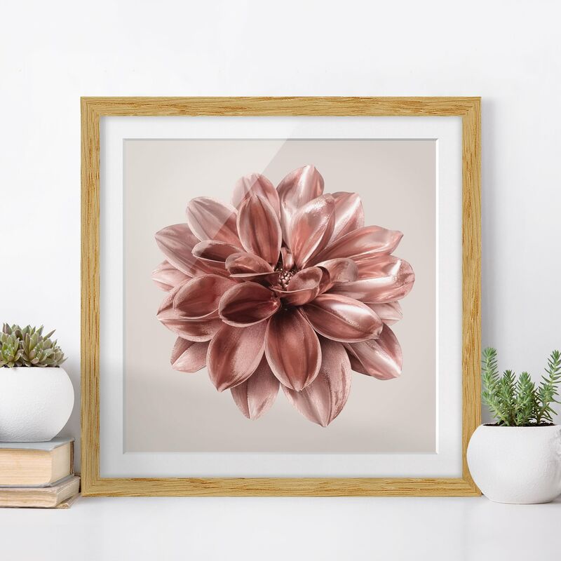 

Póster enmarcado - Fiore dalia in oro rosa metallico Dimensión LxA: 70cm x 70cm, Marco: Roble