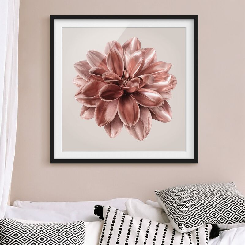 

Póster enmarcado - Fiore dalia in oro rosa metallico Dimensión LxA: 70cm x 70cm, Marco: Negro