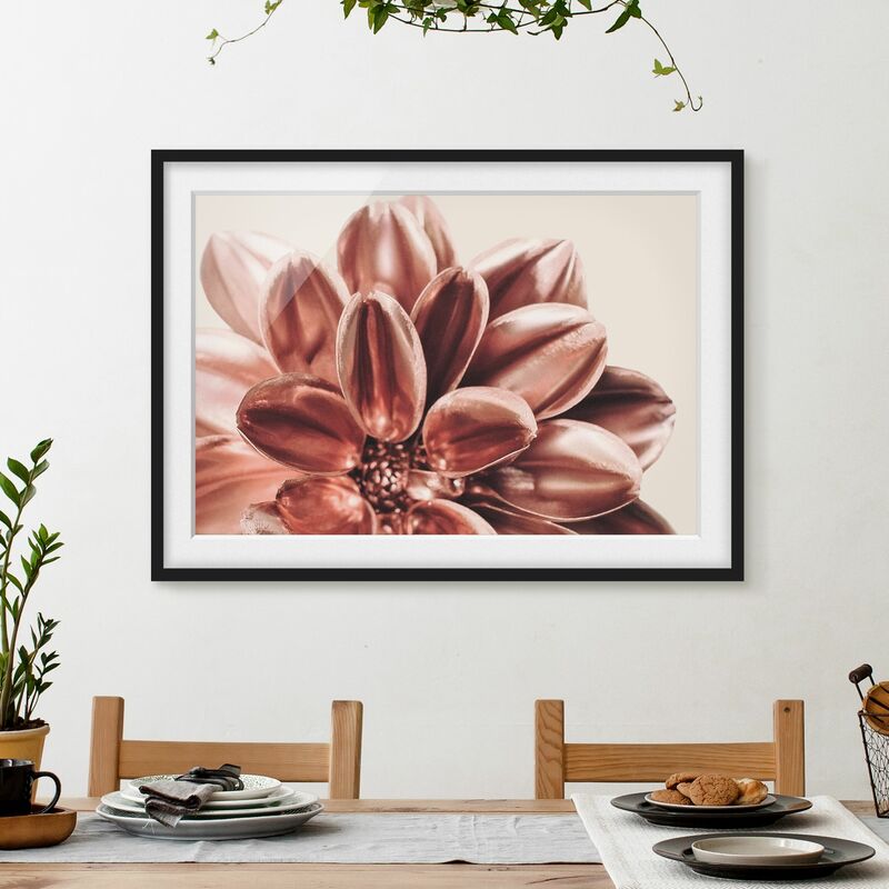 

Póster enmarcado - Dalia dorata di rame Dimensión LxA: 40cm x 55cm, Marco: Negro