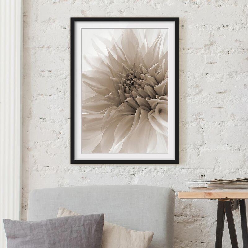 

Póster enmarcado - Dahlia In Dignity Dimensión LxA: 100cm x 70cm, Marco: Negro