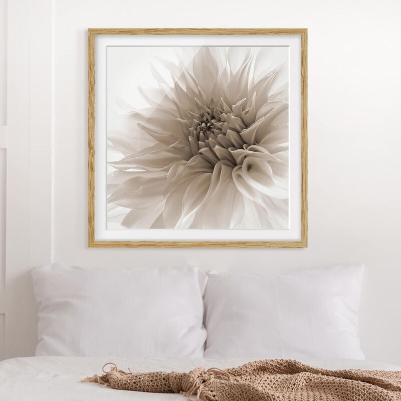 

Póster enmarcado - Dahlia In Dignity Dimensión LxA: 20cm x 20cm, Marco: Roble