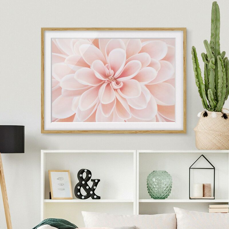 

Póster enmarcado - Dalie in rosa pastello Dimensión LxA: 30cm x 40cm, Marco: Roble
