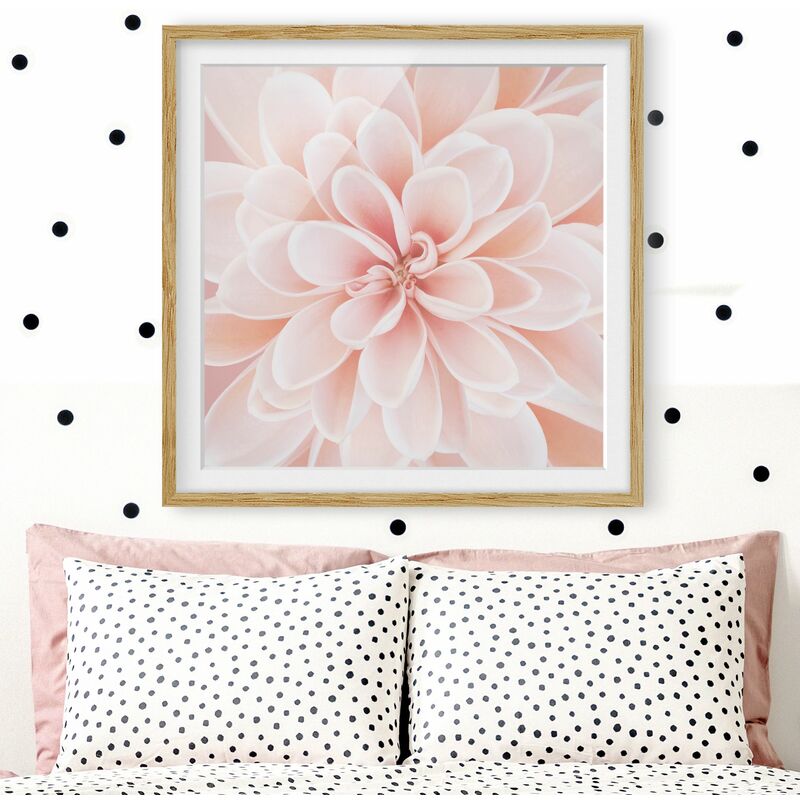 

Póster enmarcado - Dalie in rosa pastello Dimensión LxA: 70cm x 70cm, Marco: Roble