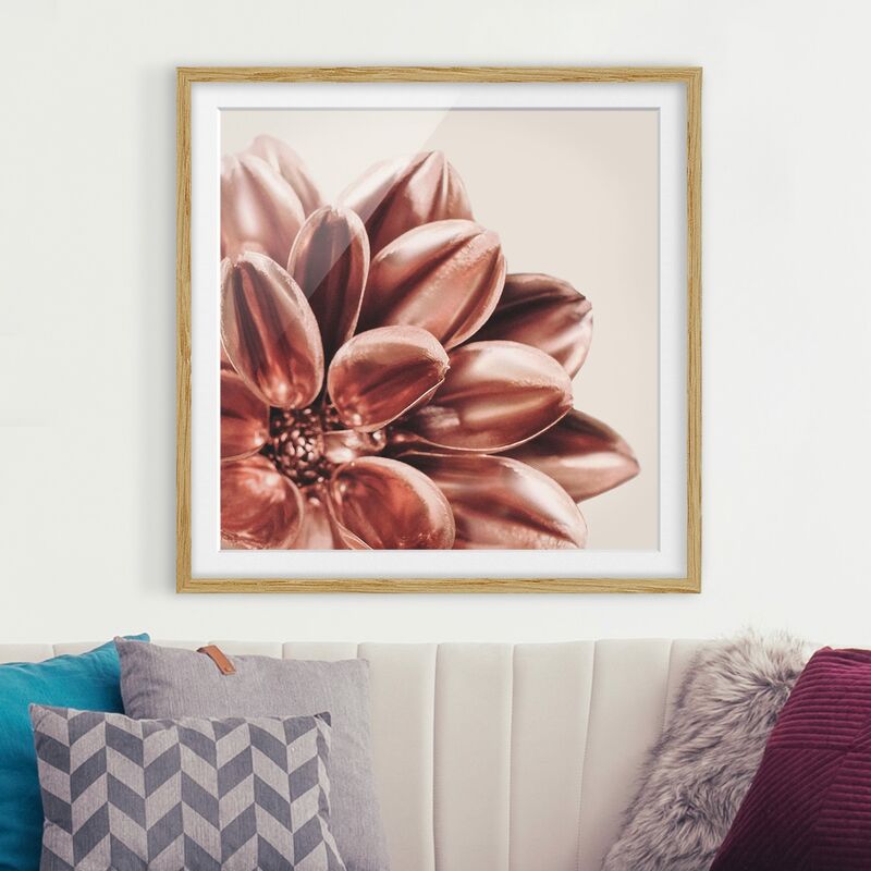 

Póster enmarcado - Dettaglio di dalia rosa dorato Dimensión LxA: 70cm x 70cm, Marco: Roble