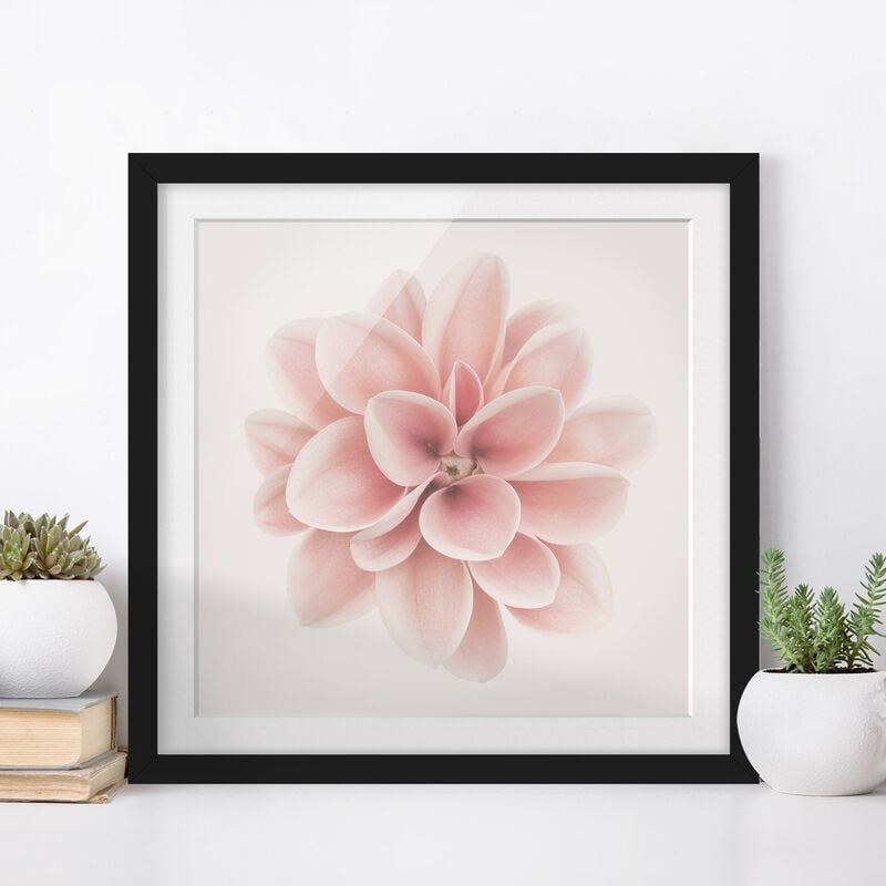 

Póster enmarcado - Dalia centrata in pastello rosa Dimensión LxA: 50cm x 50cm, Marco: Negro