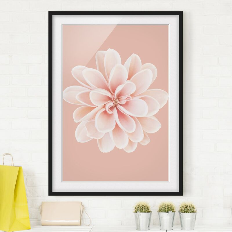 

Póster enmarcado - Dalia centrata in pastello bianco Dimensión LxA: 40cm x 30cm, Marco: Negro