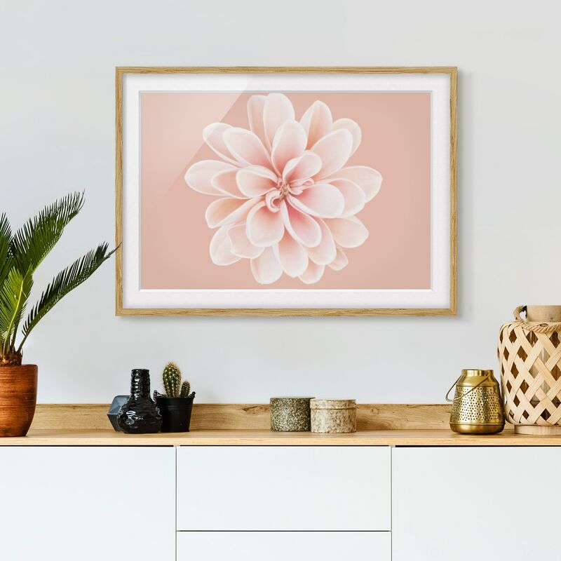 

Póster enmarcado - Dalia centrata in pastello bianco Dimensión LxA: 40cm x 55cm, Marco: Roble